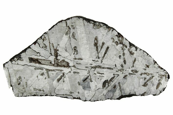 Etched Canyon Diablo Meteorite Slice ( g) - Arizona #356060